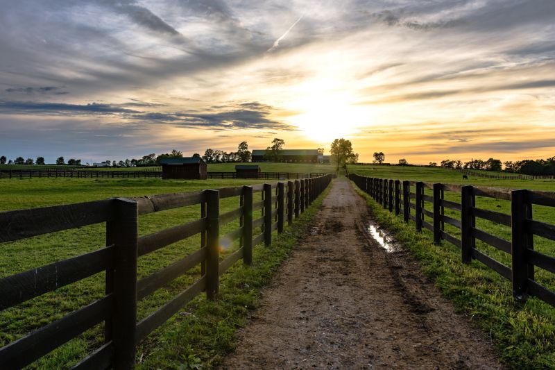 Wooden Farm Fence Installation in Sacramento, CA